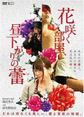 深海回声 电影封面